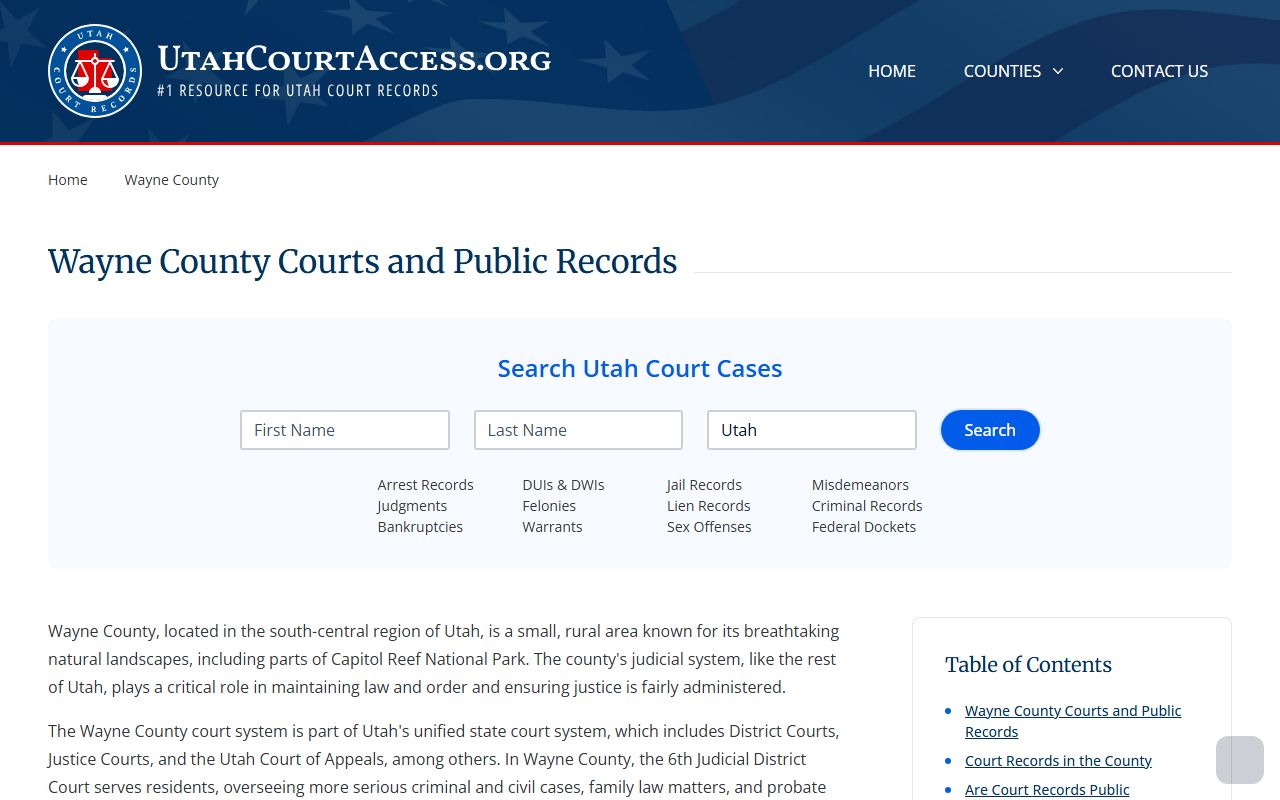 Wayne County court records overview and access information